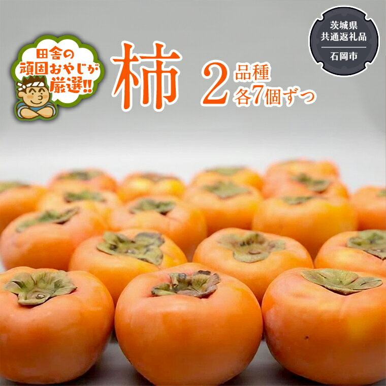 【ふるさと納税】柿 2品種（各7個）【10月中旬より発送開始】（茨城県共通返礼品：石岡市産） 果物 フルーツ 茨城県産