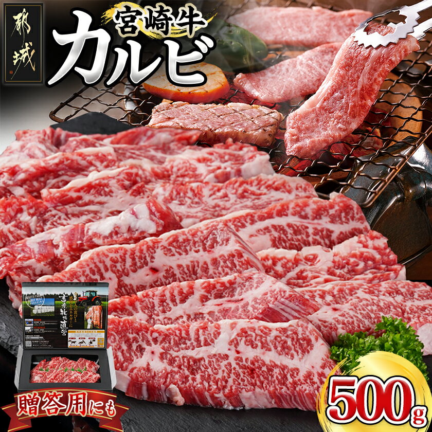 【ふるさと納税】宮崎牛カルビ500g - 宮崎牛 国産牛 黒毛和牛 牛肉 カルビ 500g 焼肉 冷凍でお届け ギフト 贈答用 送料無料 18-4205【宮崎県都城市は2年連続ふるさと納税日本一！】