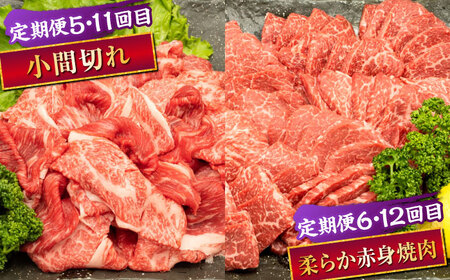 【全12回定期便】 熊本県産 A5等級 黒毛和牛 和王 食べ比べ 牛肉 和牛 国産【帝神志方ミート 株式会社】[AYCH058]