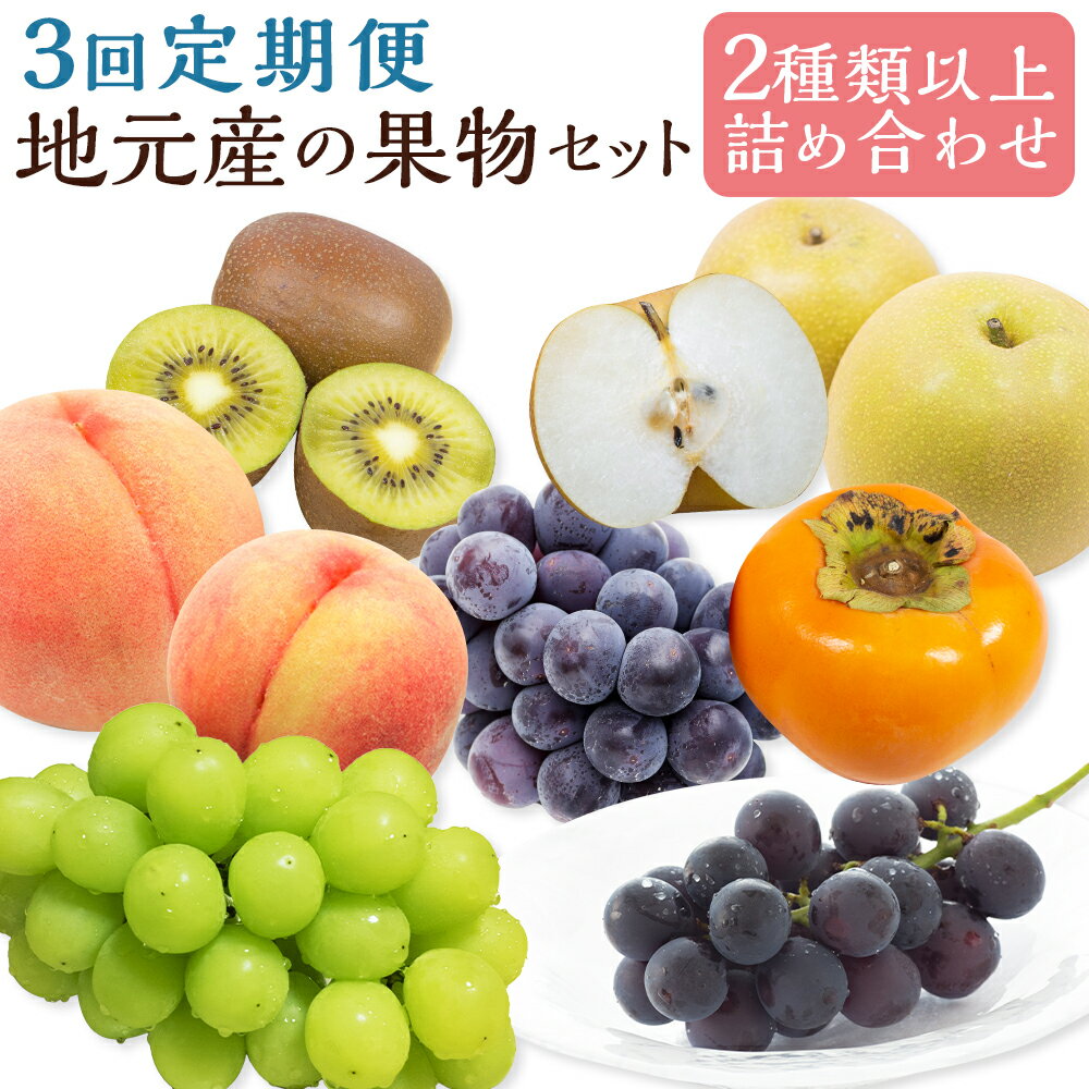 【ふるさと納税】【3回定期便】今が旬な地元産の果物詰め合わせセット 果物 くだもの フルーツ セット 詰め合わせ 旬 旬のフルーツ 桃 梨 ぶどう みかん 柿 キウイ 定期 フルーツ定期便 果物定期便 フルーツ定期 福岡 福岡県 筑後市 【2026年6月上旬から順次発送予定】