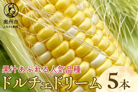 【先行予約】とうもろこし ドルチェドリーム5本 【数量限定】 2026年7月中旬から出荷 離島配送不可 [T0029]