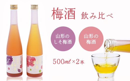 
										
										《 梅酒飲み比べ 》 山形の梅酒と山形のしそ梅酒 （500ml×2本）寒河江市産白加賀梅を使用 ／ 梅酒 飲み比べ しそ梅酒 うめ 白加賀梅 飲み比べセット リキュール 赤しそ 山形 寒河江 010-E-FR022
									