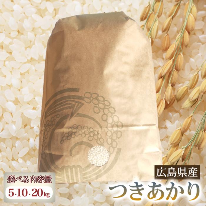 【ふるさと納税】つきあかり 【選べる容量】5・10・20kg 米 お米 ご飯 ごはん 白米 精米 238013-r