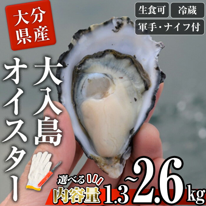 【ふるさと納税】＼牡蠣1グランプリ最高金賞受賞／ 真ガキ 大入島オイスター＜内容量が選べる(約1.3kg・約2.6kg)＞ 牡蠣 かき カキ 貝 海鮮 魚介類 冷蔵 生食可 シングルシード 養殖 殻付き 【ED08・ED09】【(合)新栄丸】