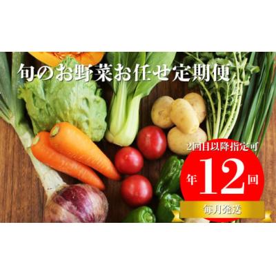 ふるさと納税 佐川町 【年12回】高知から直送!旬の季節のお野菜セット(7~9品)2回目以降着日指定可能 産地直送