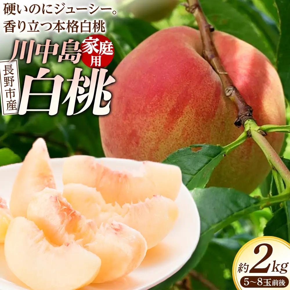 【※2027年8月発送分　先行受付】長野市生まれ　奇跡の川中島白桃2kg　家庭用　信州ハピネスフルーツ | 桃 もも