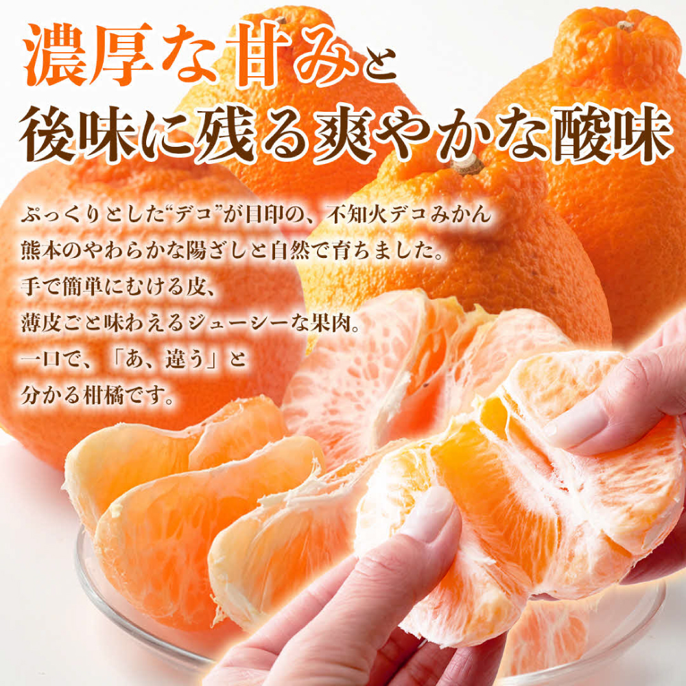 【先行予約】 不知火 デコみかん (デコポン同品種) 約10kg (24～48玉) フルーツ くだもの 果物 みかん ミカン おやつ デザート 旬 熊本県 八代市 【2027年2月上旬より順次発送】