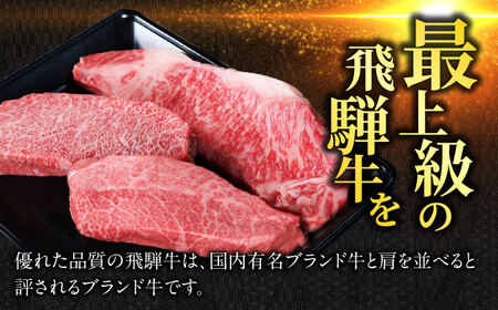 飛騨牛ステーキ600g 飛騨牛 ステーキ[ANBO025]