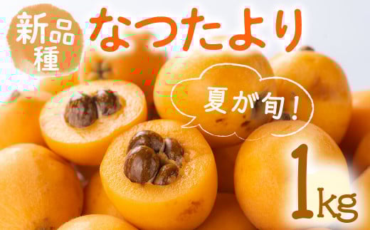 ＜期間限定！2025年5月下旬以降順次発送予定＞なつたより びわ (約1kg) ビワ びわ 果物 フルーツ 産地直送 【man066】【Aglio nero】