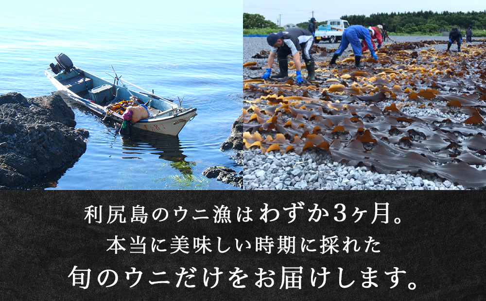 【2026年8月発送】キタムラサキウニ 100g＆いくら 150gセット ＜利尻漁業協同組合＞