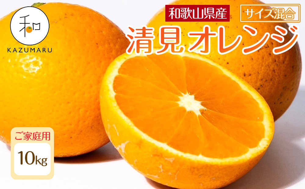 
            家庭用 森本農園の手選別 清見オレンジ 10kg 和歌山県産 サイズ混合 ［北海道・沖縄・離島配送不可］［RN39］［2026年2月上旬から5月中旬頃順次発送予定］
          