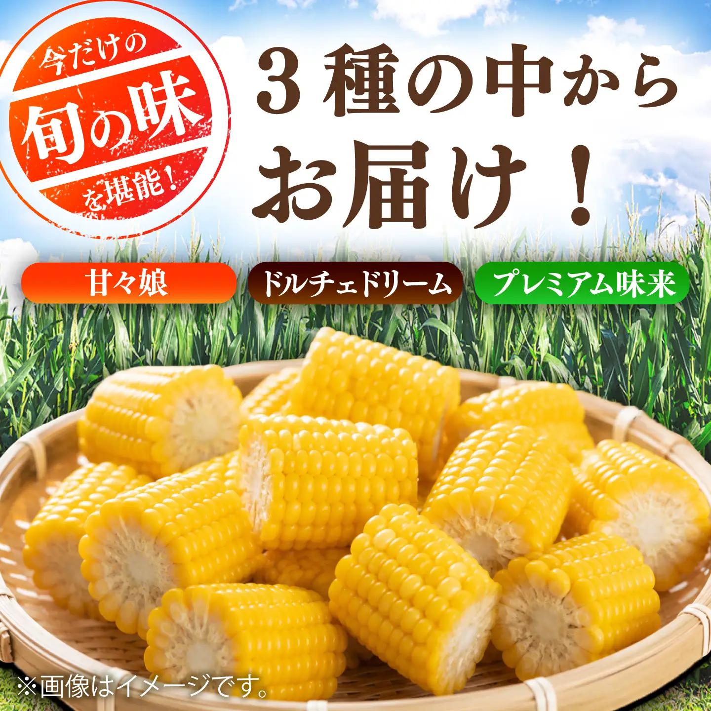 先行予約 2027年6月上旬より順次発送 訳あり スイートコーン(品種問わず) 4kg以上 スイートコーンBHCJ005