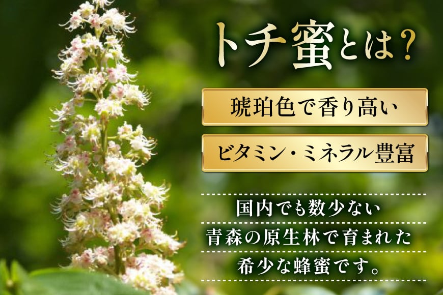 はちみつ 国産 石蔵のはちみつ トチはちみつ りんごはちみつ 各450g 2本 セット [東養蜂場 青森県 おいらせ町 oi02ayo660018] ハチミツ 蜂蜜 詰め合わせ トチ蜂蜜