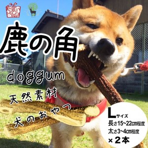 鹿の角（Ｌサイズ×2本）京都丹後産 ペット犬用おやつ ドッグガム