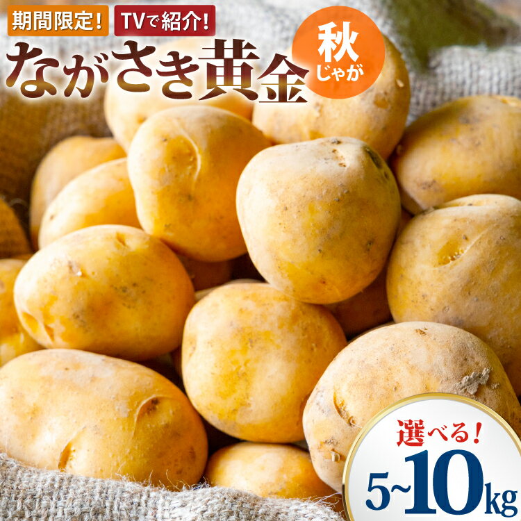 【ふるさと納税】TVで紹介！ じゃがいも 5kg 10kg ながさき黄金 選べる内容量【期間限定発送】秋じゃが[南串ながさき黄金生産組合 長崎県 雲仙市 item2058] ジャガイモ 5キロ 10キロ 秋じゃがいも 長崎県産 期間限定