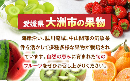 【先行予約】【2025年6月中旬から順次発送】　メロン タカミ 2から3玉 愛媛県大洲市/梶原農園 メロン[AGCX004]