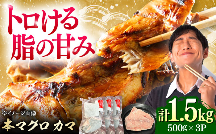 対馬産 本マグロ カマ 1.5kg ≪対馬市≫【桐谷商店】 トロの華 対馬 新鮮 マグロ かま 鮪 [WAQ099]