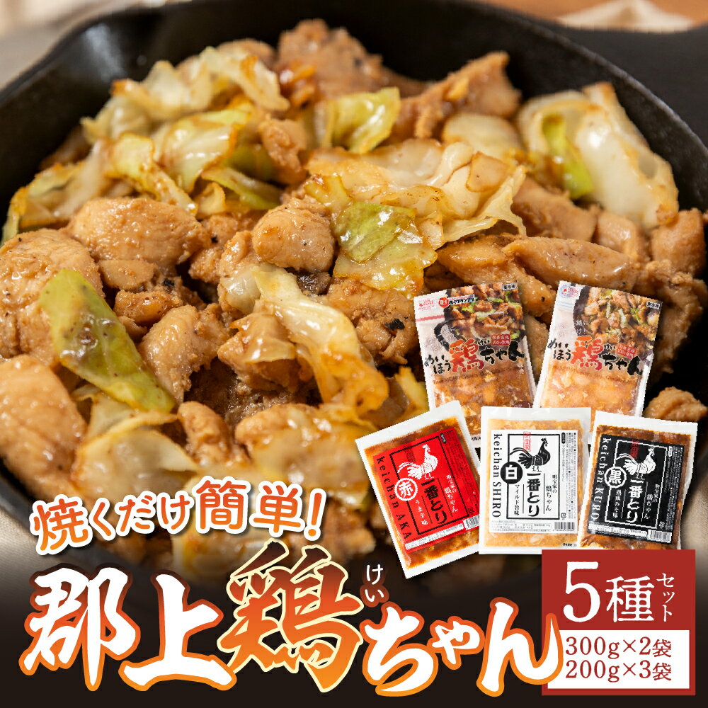 【ふるさと納税】食べ比べ 郡上鶏ちゃん5種セット 味付肉 （鶏肉） / 食品 精肉 肉加工品 鶏肉 セット 詰め合わせ 10000円 鶏ちゃん 明宝家