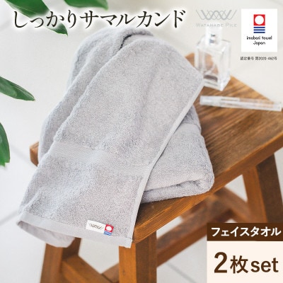 (今治タオル)しっかりサマルカンドフェイスタオル 2枚 ブルー【IA05290FT2BL】【1610105】