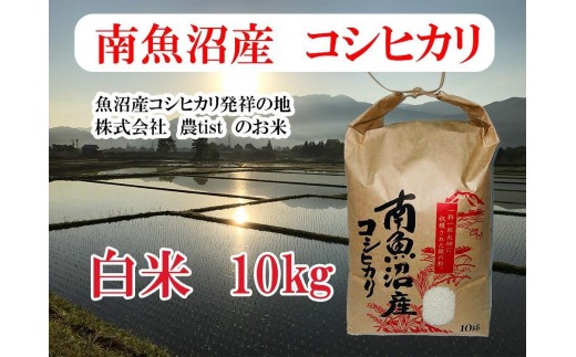 【令和7年産】【南魚沼産】コシヒカリ 白米10kg