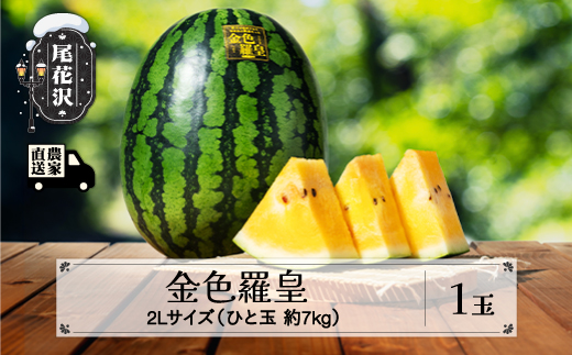 先行予約 金色羅皇 こんじきらおう 尾花沢産スイカ 2Lサイズ 約7kg×1玉 7月下旬～8月中旬頃発送 令和7年産 2025年産 観光物産 kb-sukr21