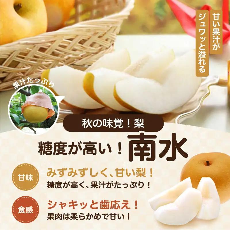 梨 南水 糖度14度以上 約5kg 【2026年9月中旬～発送】