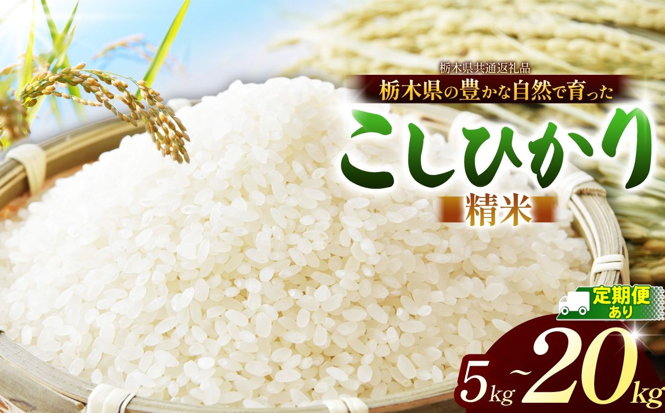 
                  【先行予約】【栃木県共通返礼品】こしひかり 白米 選べる 内容量 約 5kg ~ 約 20kg ｜コシヒカリ 米 白米 おいしい お米 こめ おこめ 白米 精米 国産 ごはん ご飯 白飯 米 おこめ 白米 精米ゴハン ランキング 人気  ふるさと 納税 栃木県 那珂川町 送料無料
                