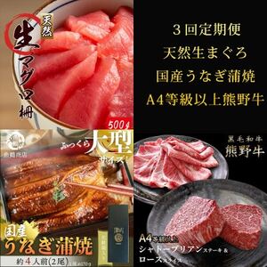 【毎月定期便】紀州和歌山うまいもんセットA(生まぐろ・うなぎ蒲焼・熊野牛)全3回【配送不可地域：離島・北海道・沖縄県】【4057117】