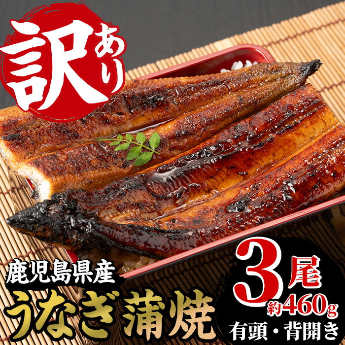 【ふるさと納税】＜訳あり＞国産うなぎ(鹿児島県産うなぎ)蒲焼(3尾・約460g) 国産 国産魚 九州産 鹿児島県産 魚 魚介 魚介類 鰻 うなぎ ウナギ unagi 蒲焼 蒲焼き 訳あり 訳アリ 規格外 惣菜 冷凍【南竹鰻加工】