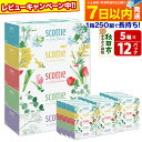 【ふるさと納税】ティッシュペーパー スコッティ フラワーボックス250組 60箱(5箱×12パック) ティッシュ レビューキャンペーン中 日用品 7日以内発送