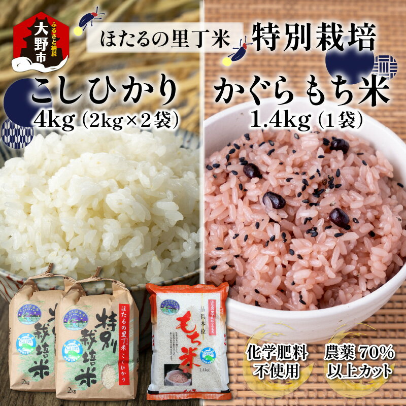 【ふるさと納税】【先行予約】【令和7年産 新米】ベストファーマー ほたるの里 特別栽培こしひかり 4kg（2kg × 2袋） ＋ かぐらもち米 1.4kg 化学肥料不使用 農薬70％以上カット【10月より順次発送】【お米・米・こしひかり・セット・詰め合わせ】 [A-002002]