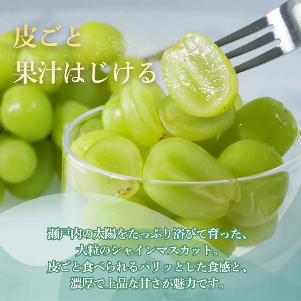 香川産 シャインマスカット「讃シャイン」２房（1kg以上）