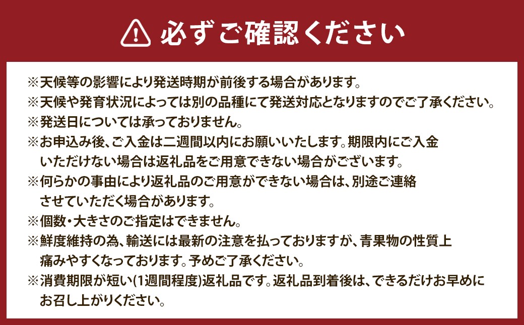 プロが選ぶ旬の果物定期便