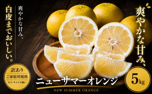 ＜訳あり 愛媛県産ニューサマーオレンジ 合計約5kg＞『2027年4月中旬～5月下旬迄に順次出荷予定』 日向夏 小夏 甘い ご家庭用 果汁 果物 くだもの フルーツ みかん オレンジ 柑橘 人気柑橘 特産品 株式会社OSN 愛媛県 西予市 【常温】