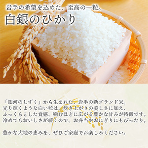 【令和7年産】 新米 11月上旬発送開始予定 岩手141号 （ 白銀のひかり ） 精米 5kg ／ 十一代目藤助 こめ 米 コメ お米 おこめ ご飯 ごはん 白米 白飯 おにぎり お弁当 仕送り お取