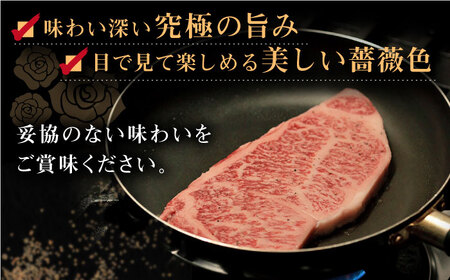 長崎和牛「出島ばらいろ」特選霜降 サーロインステーキたっぷり約500g【合同会社肉のマルシン】[QBN008]