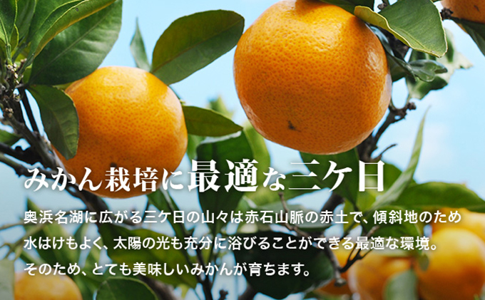 三ヶ日みかんジュース「浜名湖まるごと純粋搾り」720ml 2本【静岡 三ヶ日 みかん ジュース】