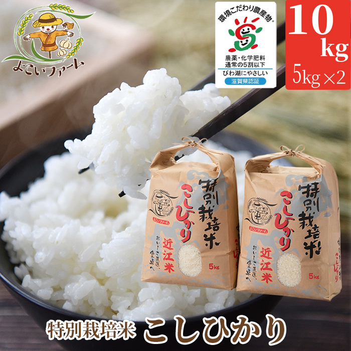 【C-546】よこいファーム 特別栽培米コシヒカリＡ　10kg（5kg×2） ［高島屋選定品］