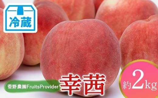 
                  【2026年出荷分先行予約】<冷蔵配送>福島県産 幸茜 約2㎏ (4～7玉) 菅野農園FruitsProvider さちあかね 大玉 固め 伊達の桃 桃 フルーツ 果物 もも モモ momo F21C-266
                