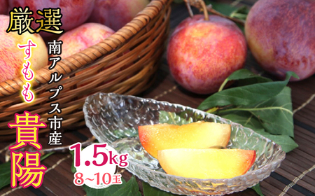 ＜2026年発送分先行予約＞厳選 貴陽すもも 約1.5kg 8玉～10玉 山梨県南アルプス市産 ALPBV008