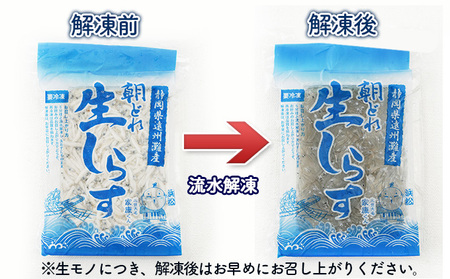 しらす 100g 4パック 魚貝類 海の幸 海鮮 しらす