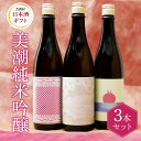 【ふるさと納税】 美潮 純米吟醸3本セット 高知県 芸西村 返礼品 日本酒 お酒 仙頭酒造 ふるさと納税限定 720ml 飲み比べセット のみくらべ 雄町 きたしずく お祝い 贈答品 箱入り ギフト 贈り物 プレゼント 送料無料 お取り寄せ 飲みやすい甘口 果実味 お中元 御中元 のし