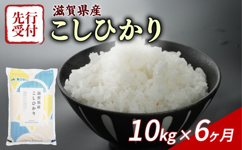
                  【令和8年産】 先行予約 新米 こしひかり 10kg (5kg×2) 6回定期便 令和8年産 定期便 米 精米 こめ コメ お米 ご飯 米 コシヒカリ 米定期便 6か月定期便 6ヶ月定期便 6回 6ヶ月 6か月 滋賀 彦根
                
