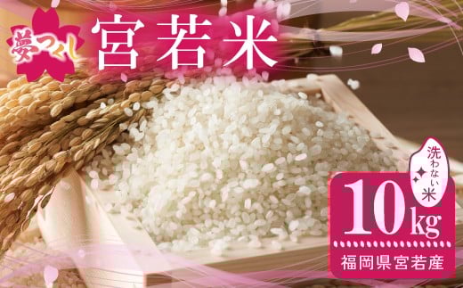 【2026年2月発送】令和7年産 夢つくし 無洗米 10kg [M896-2-2602] ごはん コメ ご飯 精米 白米 ブランド米