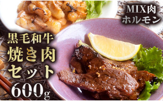 《12月12日までは年内配送》A5 黒毛和牛 焼肉用MIX ホルモン セット 600g 18,000円