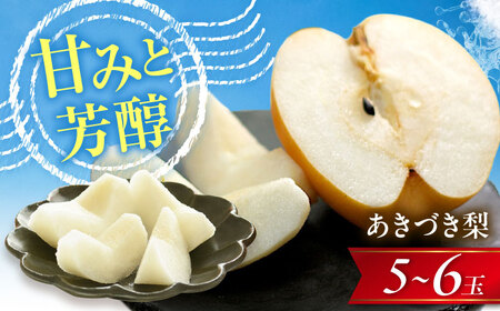 尾形農園のあきづき梨 5～6玉入 〈2026年9月～発送〉 ／ フルーツ 果物 くだもの 食品 人気 おすすめ 送料無料 梨 なし 果実 あきづきなし 【株式会社内子フレッシュパークからり】 [BKAD039]