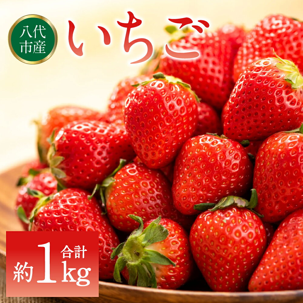 【ふるさと納税】【先行予約】 いちご 約1kg（約250g×4パック） イチゴ 苺 果物 フルーツ 旬 いちごジャム いちごスムージー 送料無料 【2026年2月上旬より順次発送】