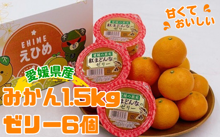 ハウスみかん&紅まどんな®のゼリー 【7月下旬から順次発送予定】 みかん ゼリー 人気 数量限定 柑橘 愛媛 伊予市｜C126