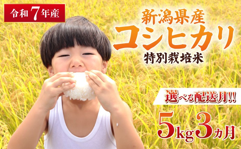 
                  【開始月を選べる】令和7年産 特別栽培米 コシヒカリ 5kg 3回 定期便 コンテスト 入賞 米 おこめ お米 ブランド米 ご飯 ごはん オニギリ お弁当 kome 送料無料 数量限定 農家直送 産地直送 国産 川瀬農園 四代目 悠助 新潟 新発田 kawase1001P R7kwsKH
                