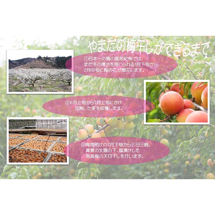 【定期便3回】紀州南高梅はちみつ極塩分約6％（850g）
